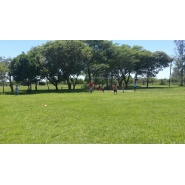 Colonia de Vacaciones - Diciembre 2014